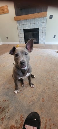 Stormy - Photo 10