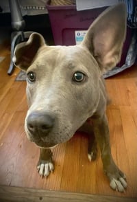 Stormy - Photo 15