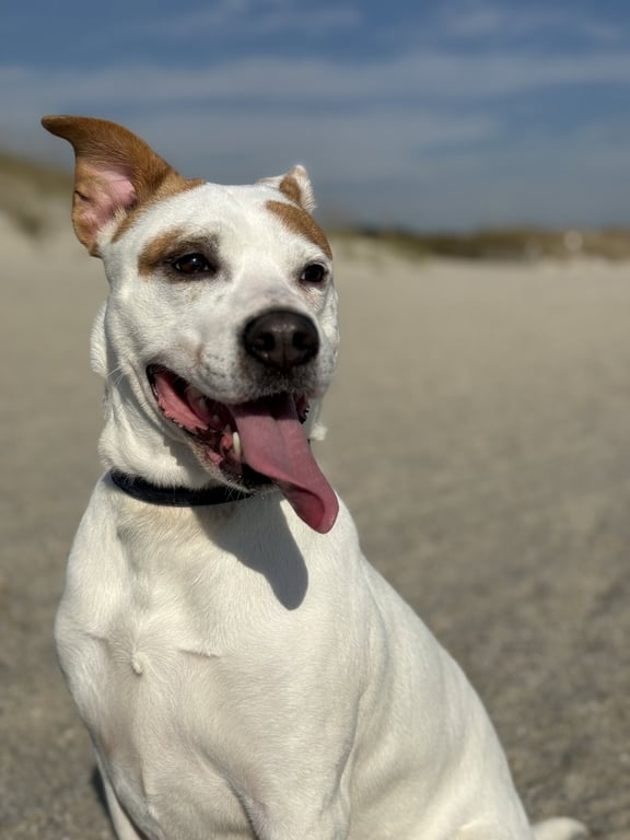 Ellie - (Courtesy) Image