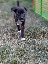 Lane - Photo 4