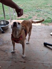 Lorelai Daisy - Photo 6