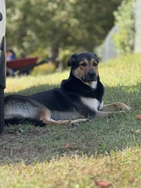 Fiyero - Photo 8