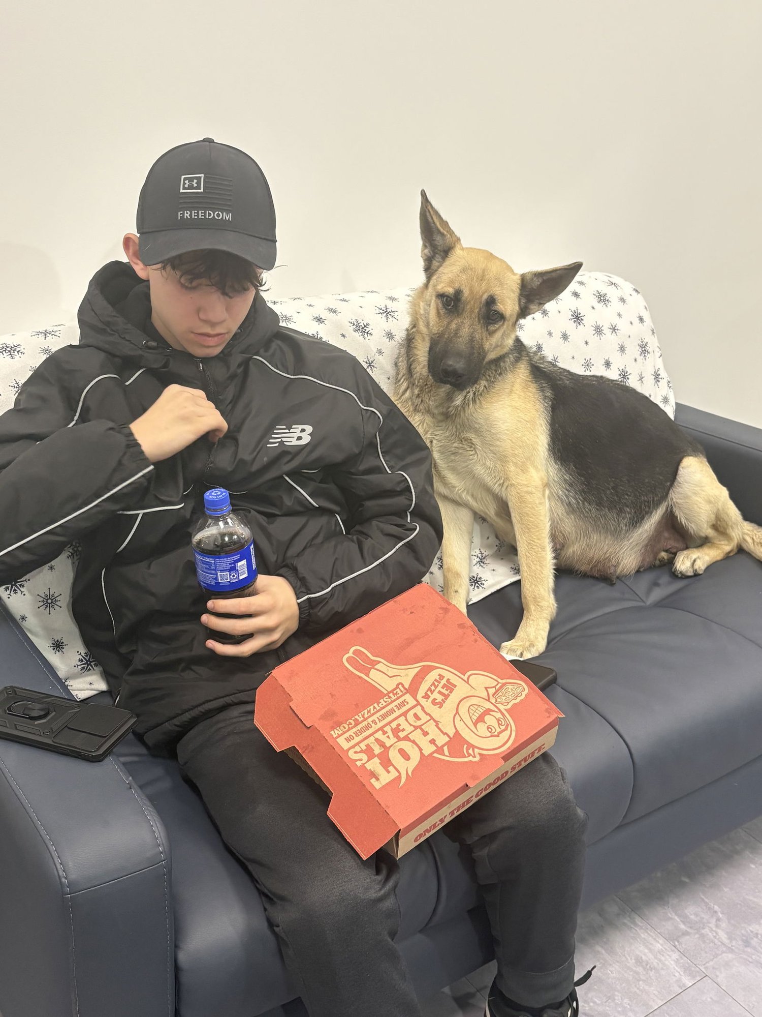 HARLEY (PLANET MAMA) - German Shepherd Dog / Shepherd available for adoption