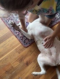 Holly - Photo 6