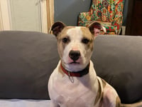 Holly - Photo 8