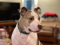 Holly - Photo 14
