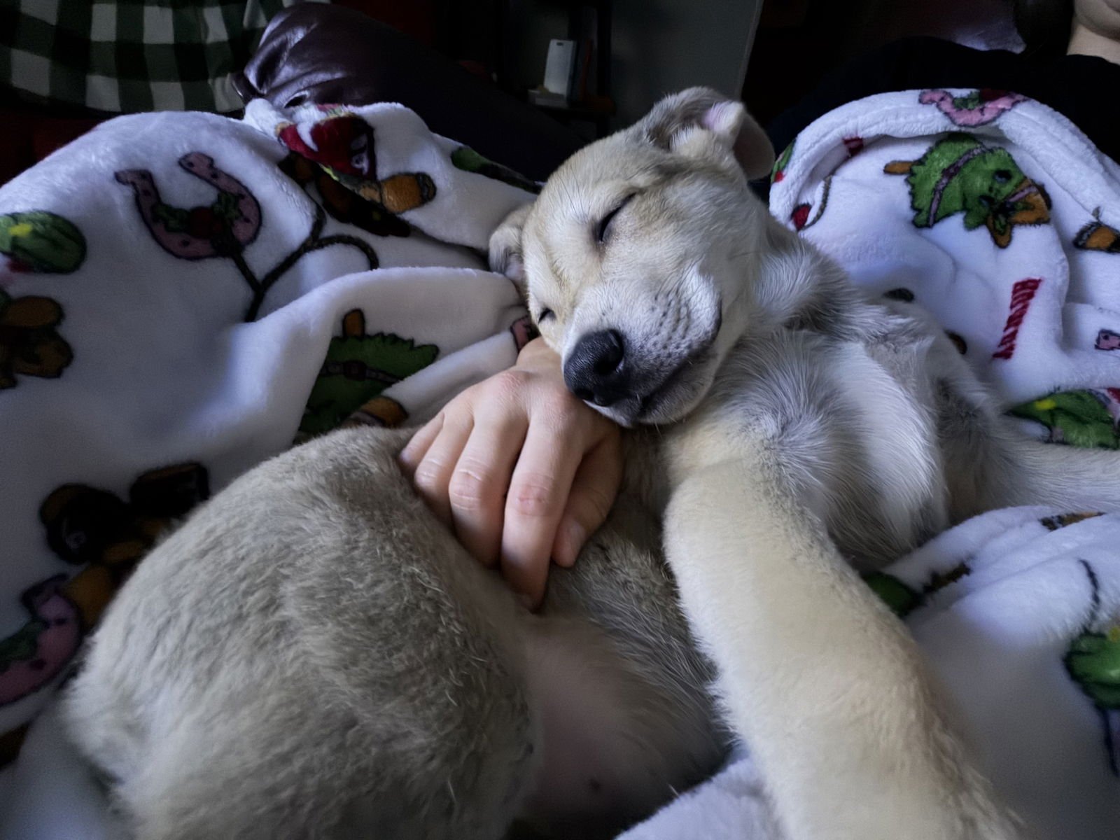 George Michael - Photo 3