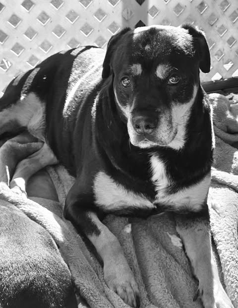 Lady Gabby - Photo 3