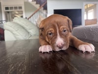 Wrinkles - Photo 1
