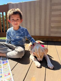 Josie (Mascot litter) - Photo 4