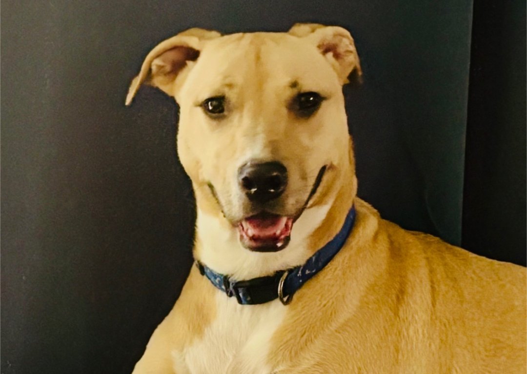 Glavine AKA Jax - Photo 3