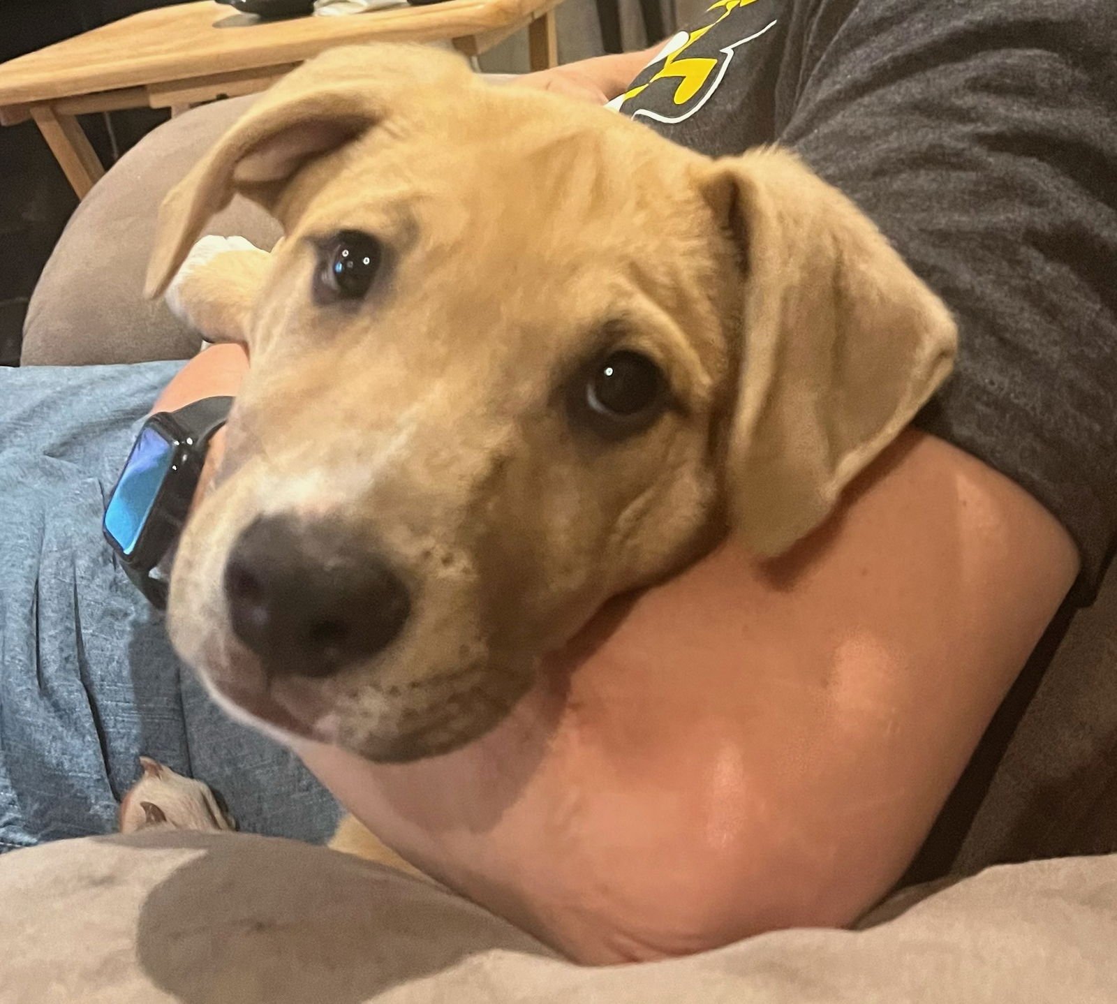 Glavine AKA Jax - Photo 4