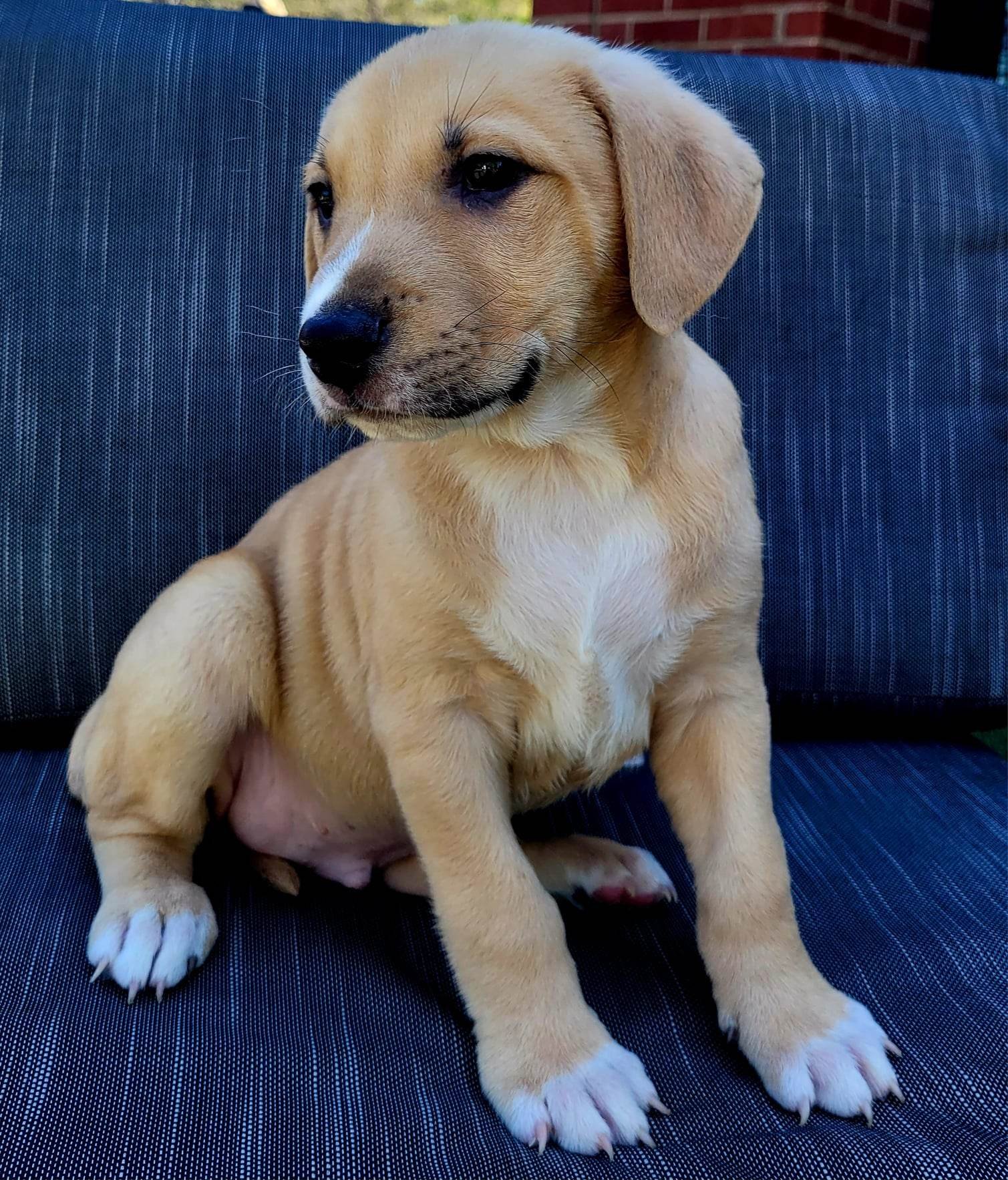 Glavine AKA Jax - Photo 5