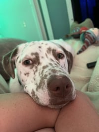Freckles - Photo 11