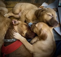 Mama Marie - Photo 5