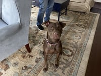 Nallah - Photo 15