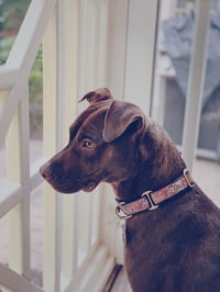Nallah - Photo 14