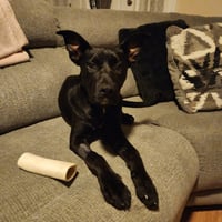 Saturn (Planet litter) - Photo 9