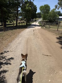 Cash - Photo 3