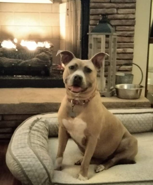 Bonnie (bonded to Clyde) Image