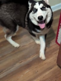 Winnie - Photo 9