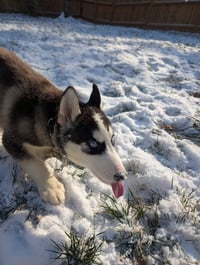 Winnie - Photo 17