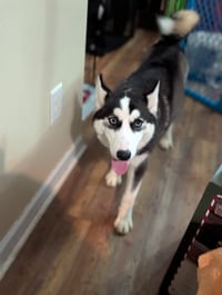 Winnie - Photo 7