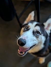 Winnie - Photo 3