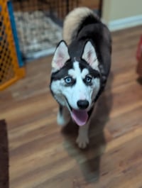 Winnie - Photo 8
