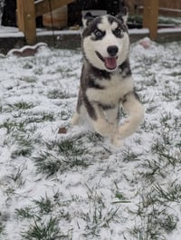 Winnie - Photo 10
