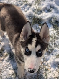 Winnie - Photo 13
