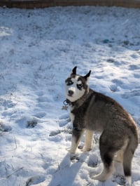 Winnie - Photo 15
