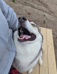 Luka - Photo 19