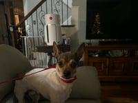 Tiny - Photo 2