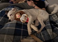 Zoe AKA Dottie - Photo 7
