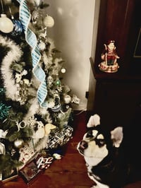 Victoria - Photo 8