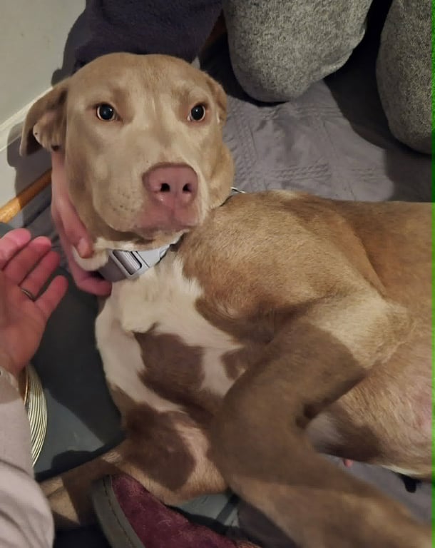 Zoey (Momma) Image