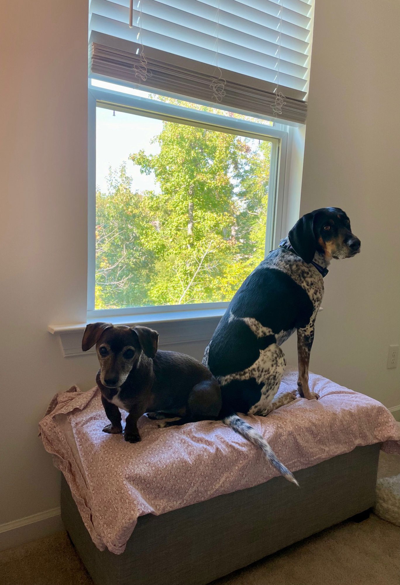 Myla (Courtesy) - Photo 3