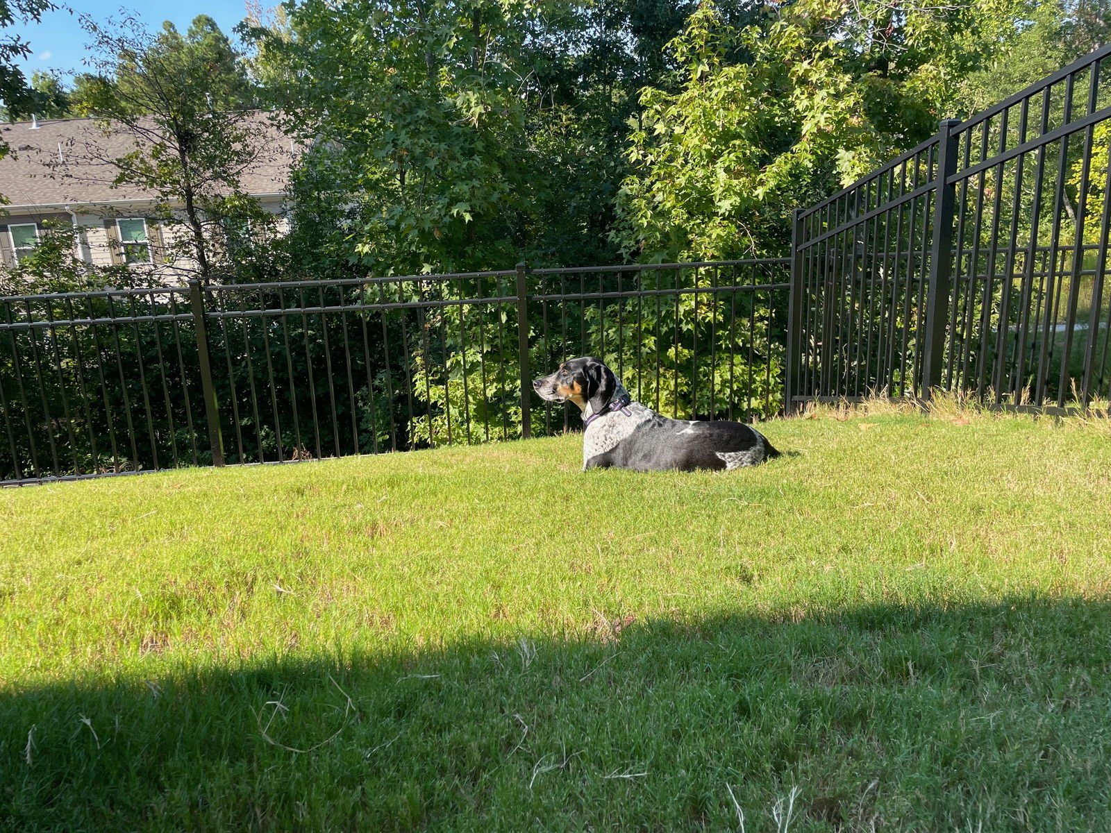 Myla (Courtesy) - Photo 4