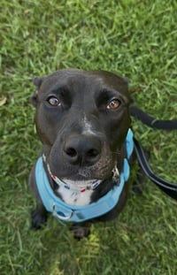 Darla - Photo 7