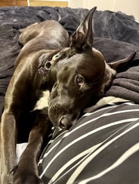 Darla - Photo 3