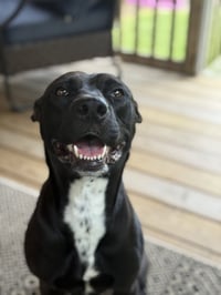 Darla - Photo 9