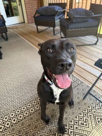 Darla - Photo 11