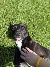 Darla - Photo 10