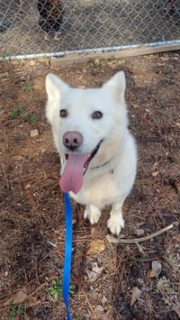 Tatum - Photo 7