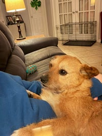 Lola - Photo 2