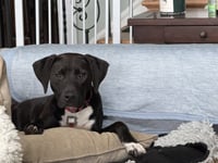 Moby - Photo 8