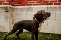 Moby - Photo 13