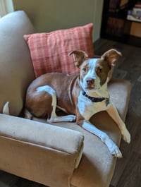 Penelope - Photo 14