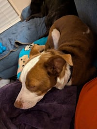 Penelope - Photo 13